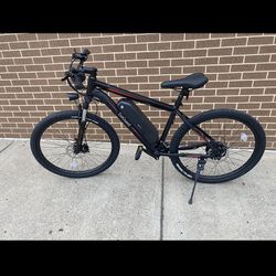 Ebicycle 