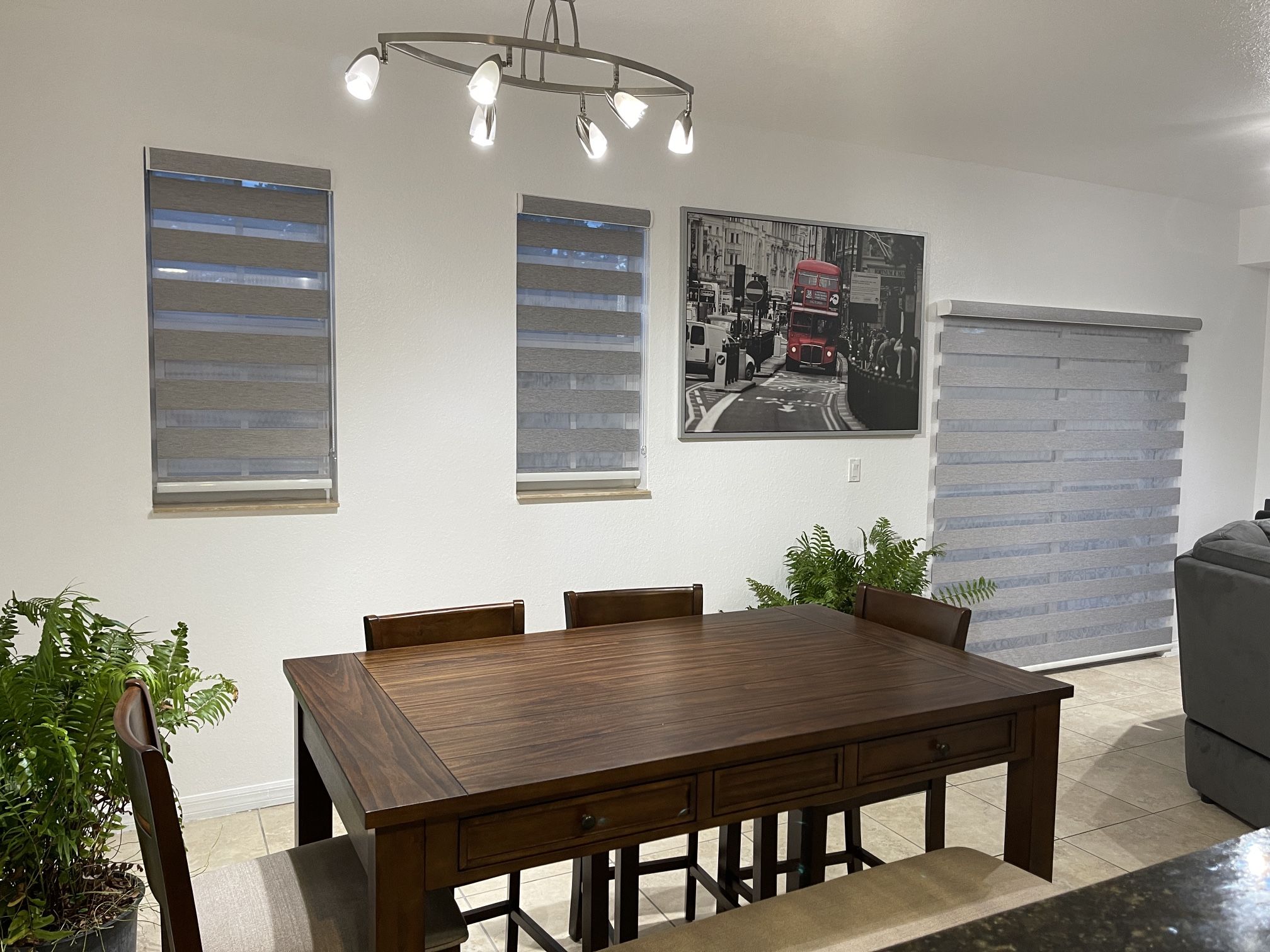 Zebra Blinds and Roller Shades (Cortinas)