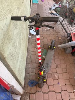 Electric scooter max shot adults size