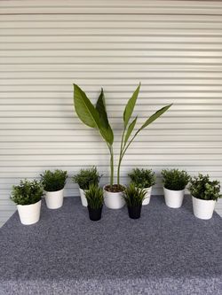 Table deal of Artificial plants