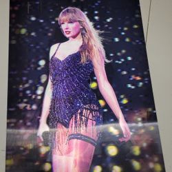 Taylor Swift Fearless Poster