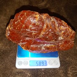 Huge 1.5 Pound Raw Amber Natural Rough Stone Huge 20.95oz 589.3g 