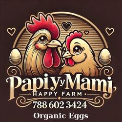 30 Huevos criollos , gallinas criadas en nuestro patio