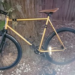 Custom Fixie (Painted Gold & Matte Black) 