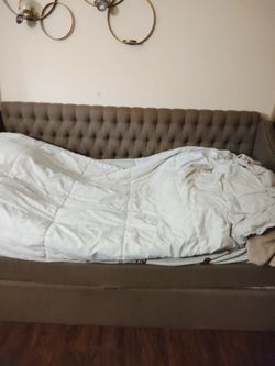 Trundle  couch bed