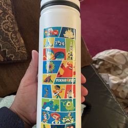 2024 Disneyland Pixar Fest Tumbler / Water bottle With Lid Handle Brand New Pick up location in the city of Pico Rivera