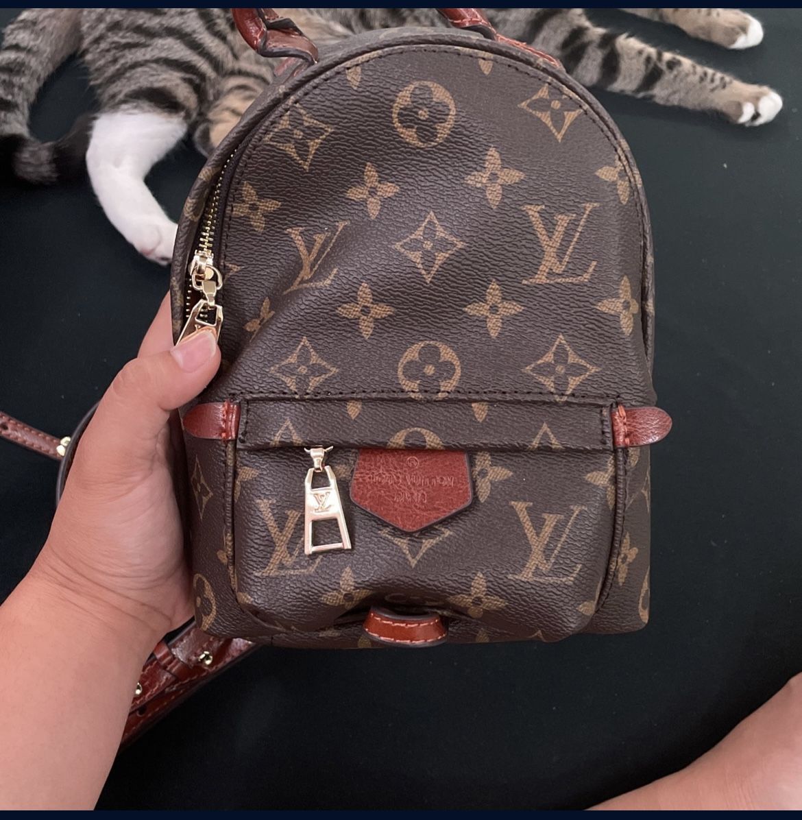 Mini Purse Backpack 