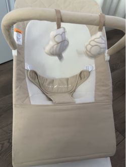 Baby delight bouncer