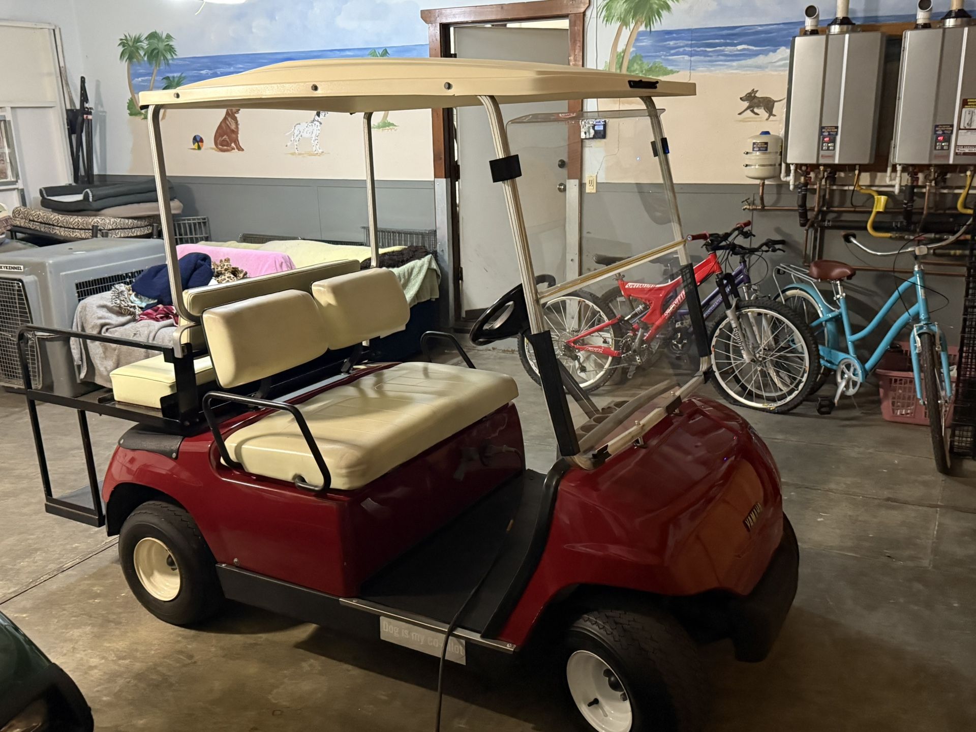 Electric Golf Cart