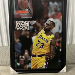 NEW LEBRON JAMES CANVAS WALL HANGING (27 1/2 X 39 1/2