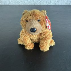 TY Beanie Baby Brown Bear Named Sequoia 