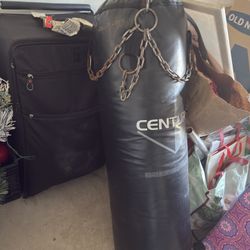 Century Punching Bag