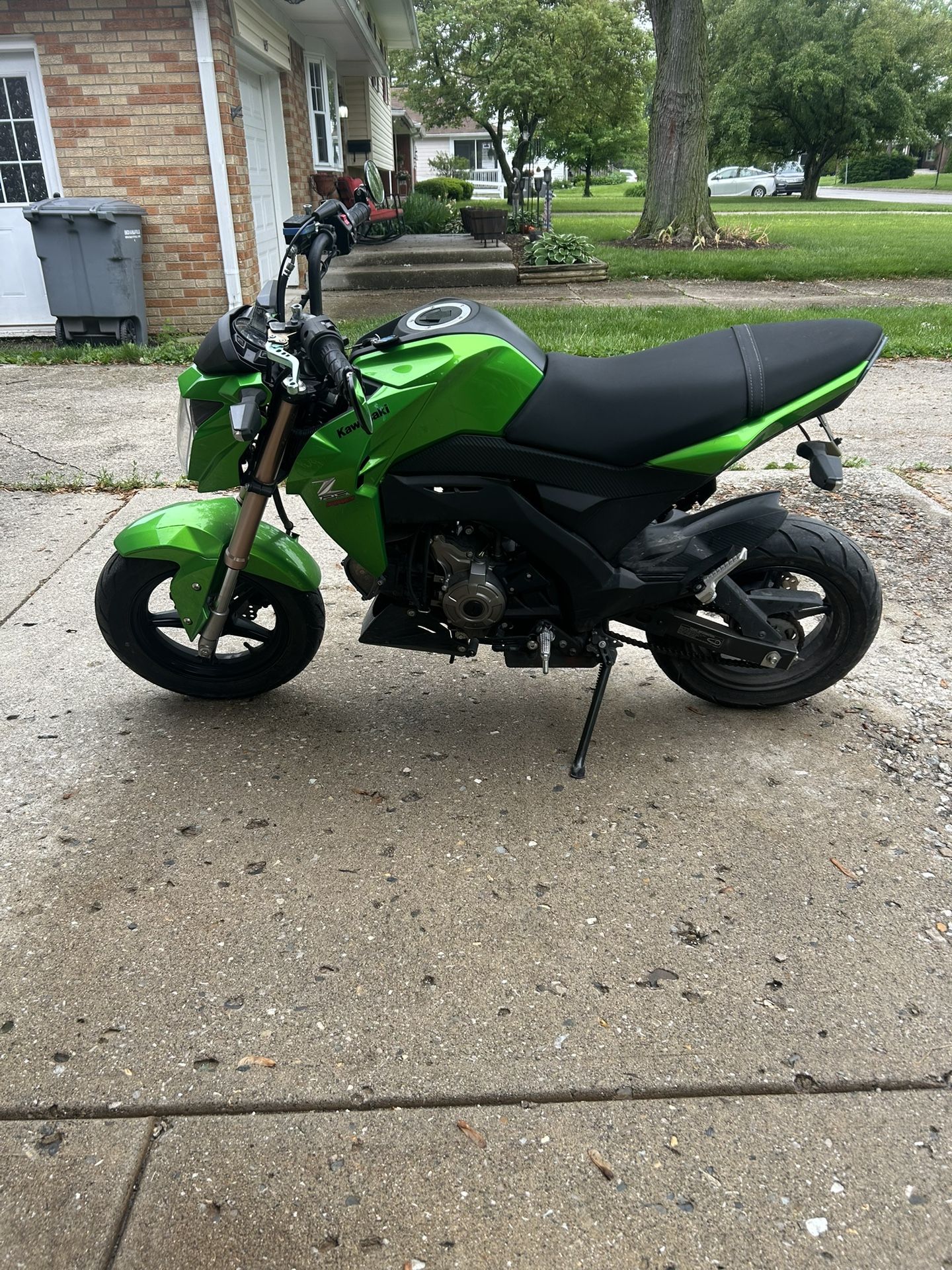 2017 Kawasaki Z 125 Pro Motorcycle