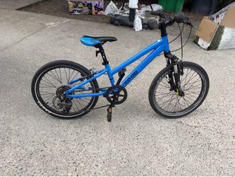 REI coop 20 in bike