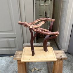 Bird Stand