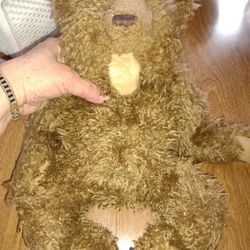 A Raggedy Bear Puppet 