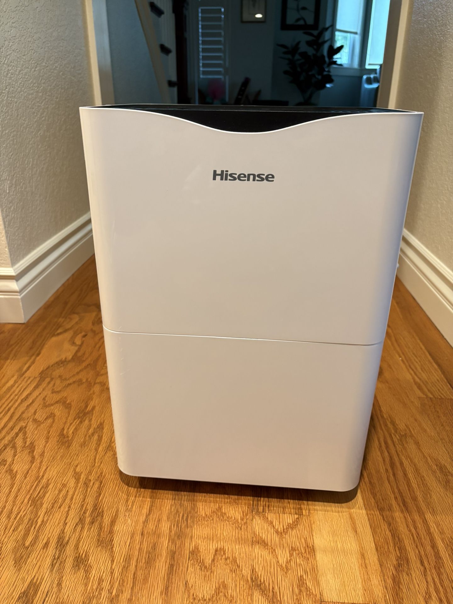 Hisense Dehumidifier