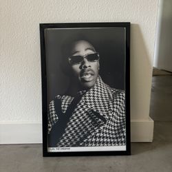 Framed 12 X 18 Tyler The Creator Poster