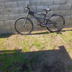 Adult Bike /Bicicleta Para Adultos
