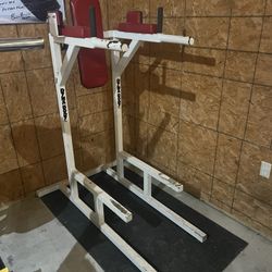 Dyna Body Dip Station 