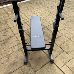 2 In 1 Workout Bench 