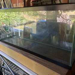Aquarium