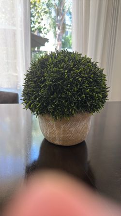 Set of faux potted plants
