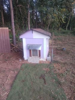 Over Size Dog House