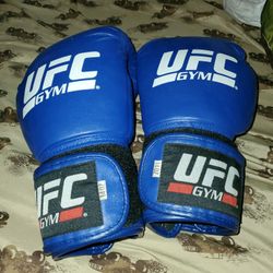 14 Oz Ufc Boxing Gloves 