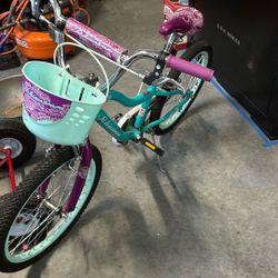 20” Girls Schwinn Bike