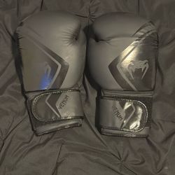 venus boxing gloves
