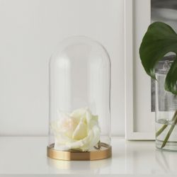 Glass Dom Decor