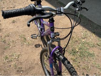 Magna  bike