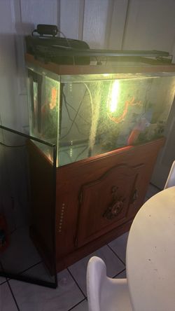Fish tank