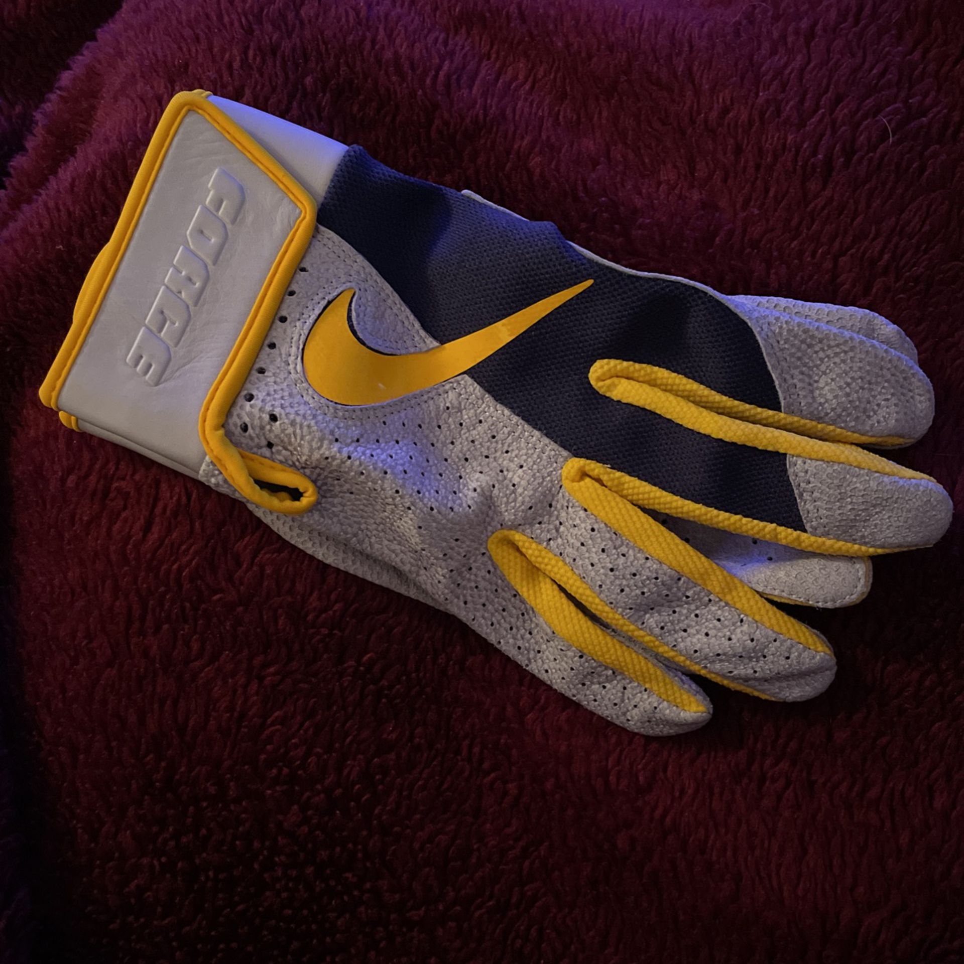 Nike Force Edge batting Gloves