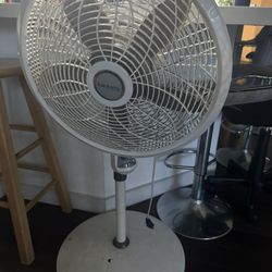 Fan