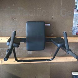 Ultimate Body Press Wall Mount Dip Station with Vertical Knee Raise with Hardware