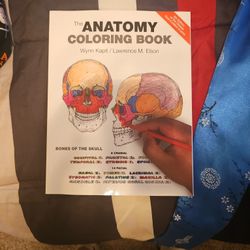 Anatomy And PHYSIOLOGY Coloring Book