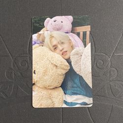 s.coups photocard d’icon teddy bear special edition