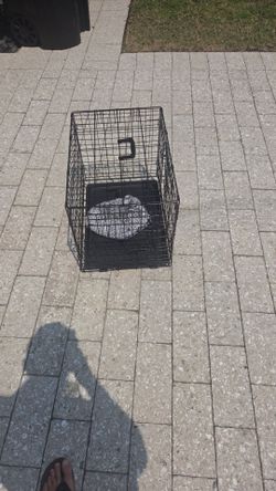 Dog crate
