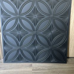 PVC Ceiling Tile In Black 24in By 24in