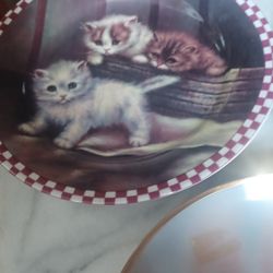 3 Cat Plates