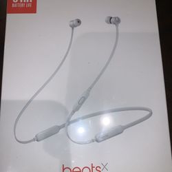 BeatsX Earphones