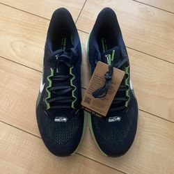  Zoom Pegasus 41 NFL Seattle Seahawks Shoes Size 10 New