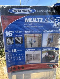 Werner Twin Ladder