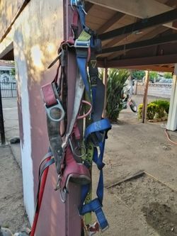 Climbing harnesses top and bottom