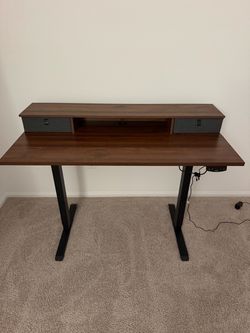 Agilestic 48 x 24 Inches Electric Standing Desk with 2 Storage Drawers and adjustable Height