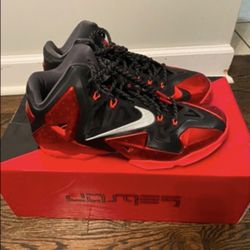 Lebron 10 Size 10