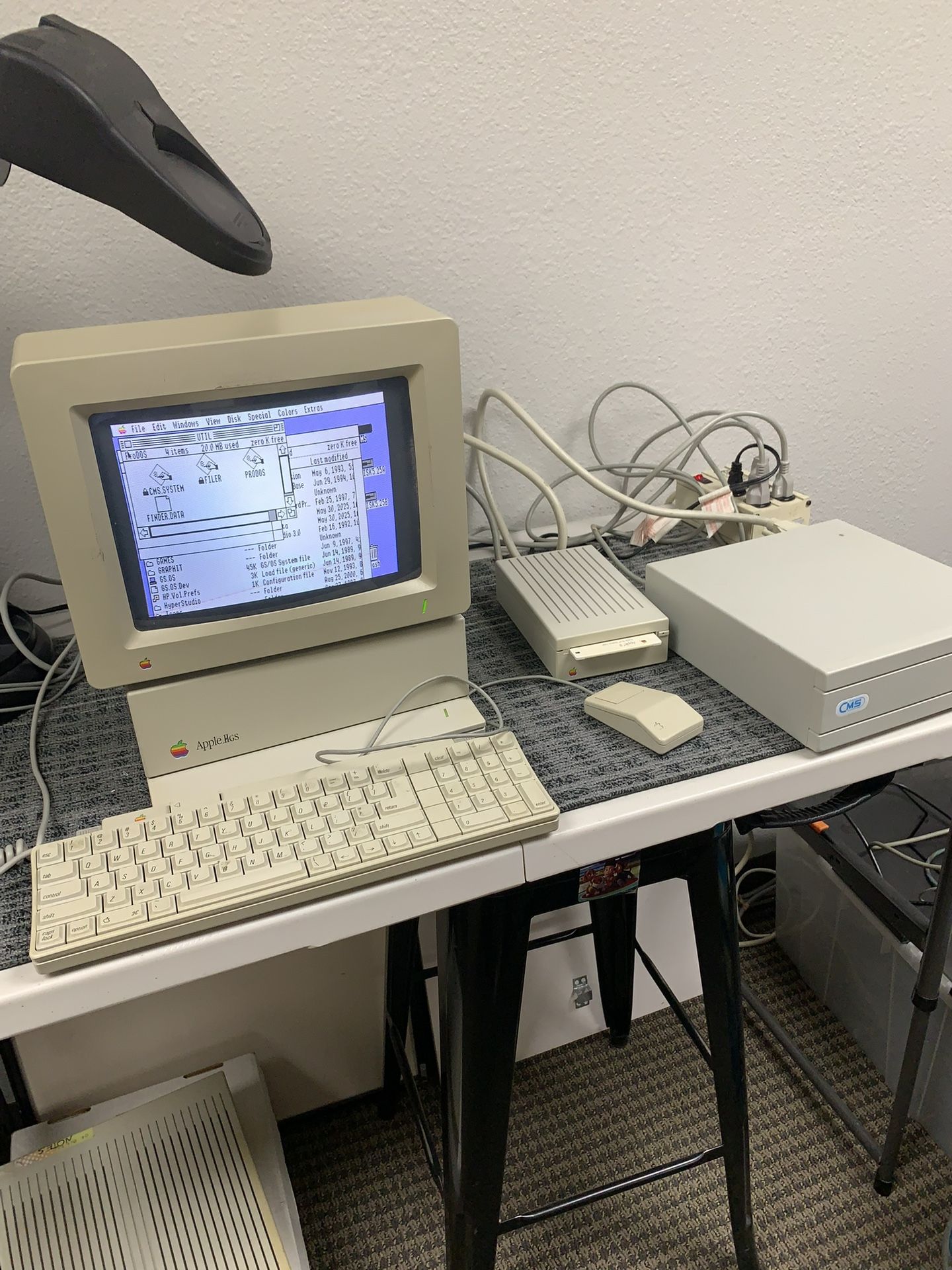 Complete Apple IIgs System