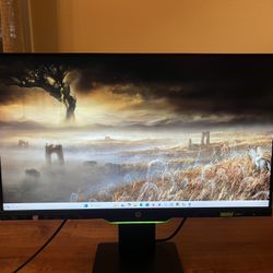 HP 25x 24.5-inch Gaming Monitor (READ DESCRIPTION)